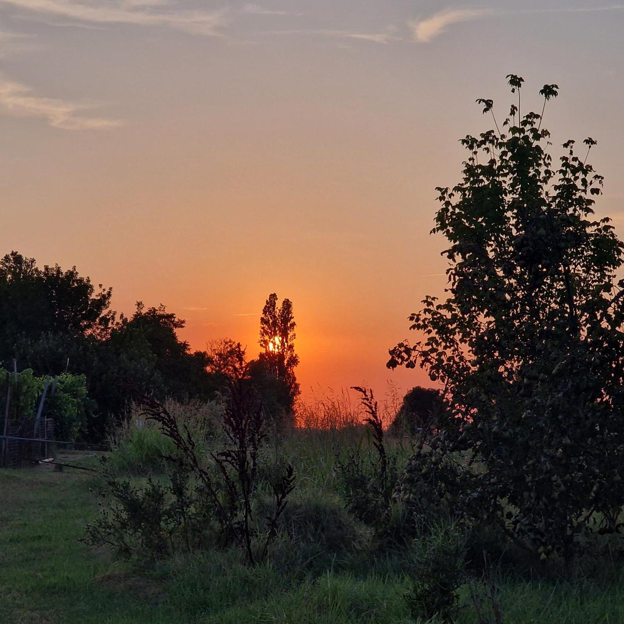 Appartamento Divino Tramonto Altedo Extérieur photo